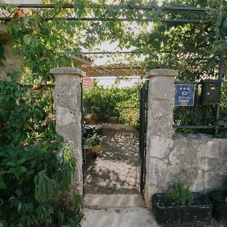 House Rusula Nyaraló